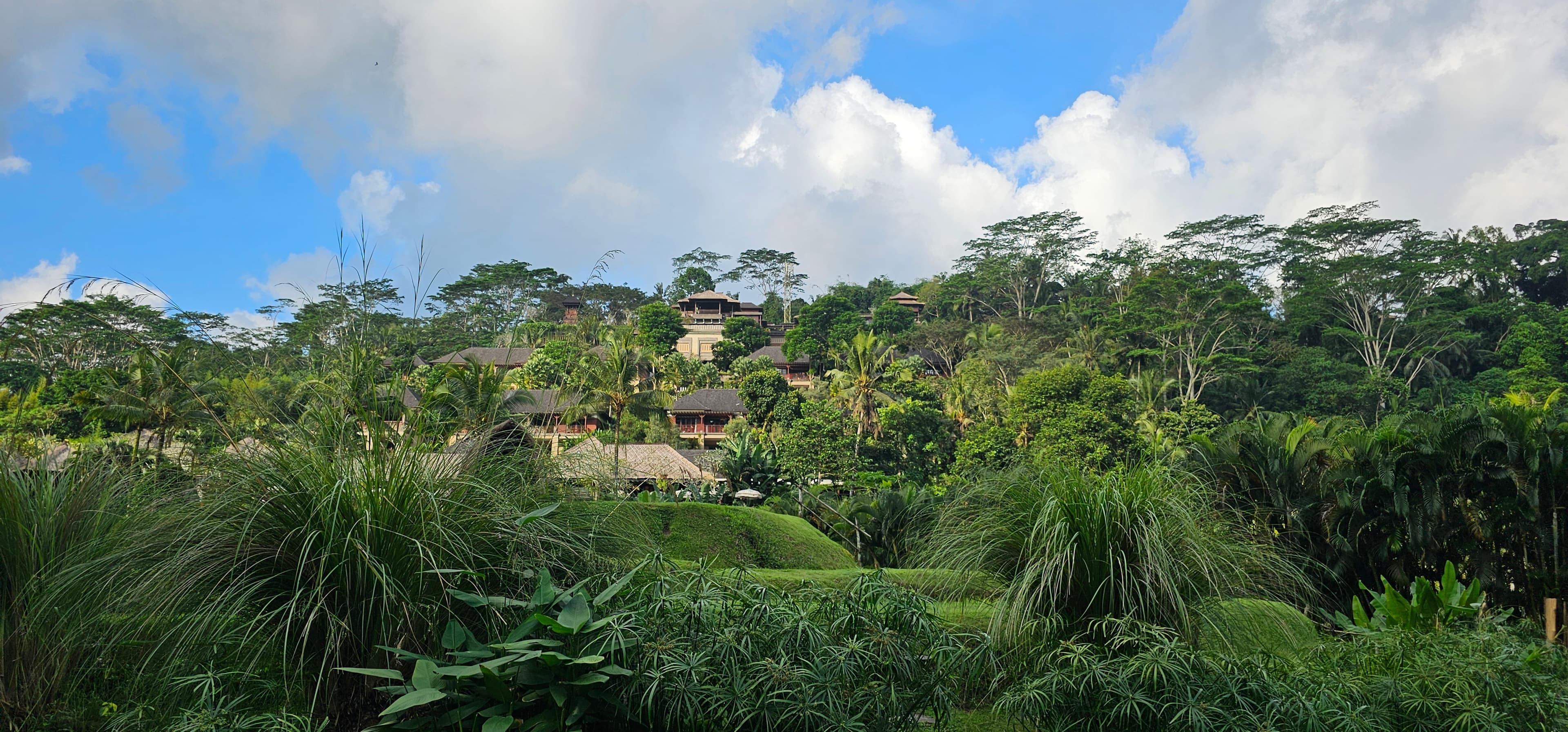 A quiet, nature-led landscape